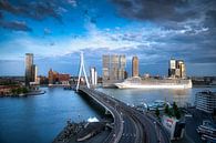 Skyline van Rotterdam von Roy Poots Miniaturansicht