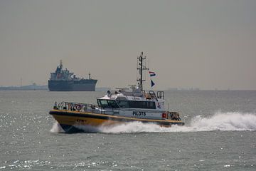 Une annexe de pilote en route vers un navire de mer près de Flushing. sur scheepskijkerhavenfotografie