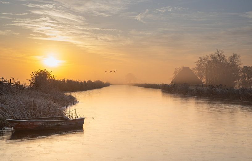 Gold light over the ring canal by peterheinspictures