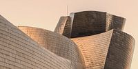 The Guggenheim Museum, Bilbao by Henk Meijer Photography thumbnail