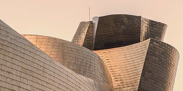 Het Guggenheim Museum, Bilbao van Henk Meijer Photography