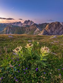 Alpenglück by Denis Feiner