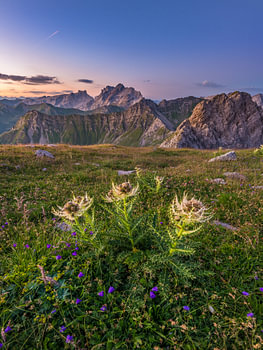 Alpenglück