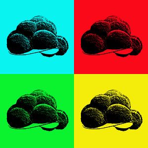 Bollenhut Schwarzwaldhut Popart