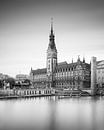 Stadhuis van Hamburg (z/w) van Florian Schmidt thumbnail