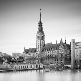 Stadhuis van Hamburg (z/w) van Florian Schmidt