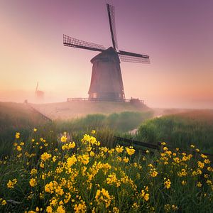 Mühle mit Morgennebel von Nick de Jonge - Skeyes