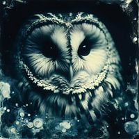 Wild gefluister; Uil