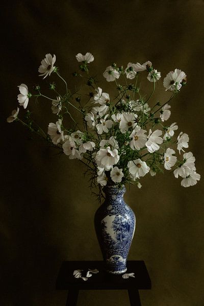 White cosmos by Marije Elizabeth