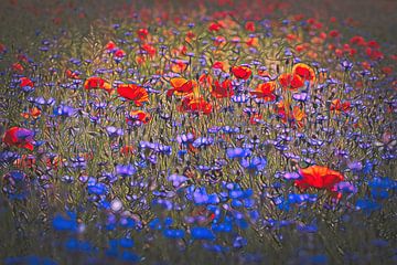 Coquelicots et bleuets sur Rob Boon