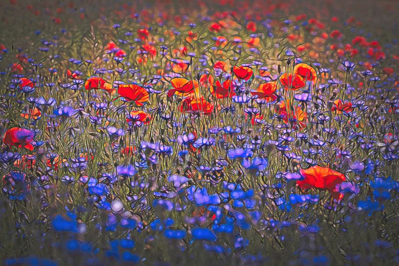 Poppies and Cornflowers by Rob Boon
