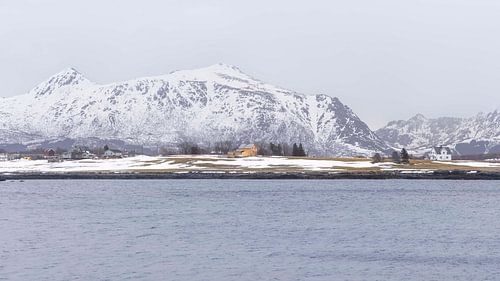 Snowy Peaks Loom Over a Tranquil Shoreline in Leknes, Lofoten, N