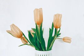 yellow tulip von Michael Schulz-Dostal