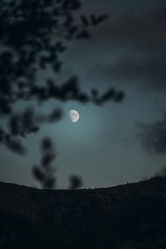 Maan boven het bos van Swittshots