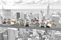 Lunch a top a skyscraper New York Yellow