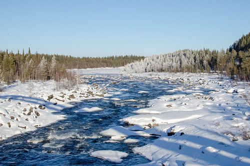 Winterse sferen bij de rivier in Zweeds Lapland