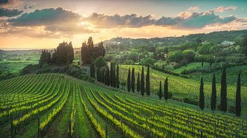 Gouden zonsondergang boven Toscaanse wijngaarden van Stefano Orazzini