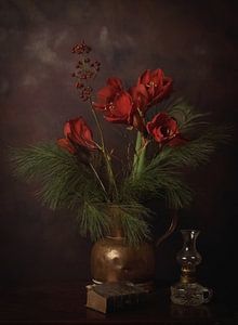 Amaryllis dans l'ambiance de Noël !