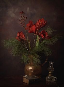 Amaryllis in kerstsfeer! van ramona stoker