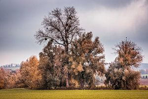 Herfstkleuren langs de rivier de Geul van Rob Boon