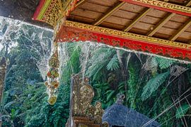 Spinnerag by Pieter van der Zweep