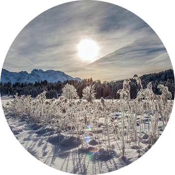 Winter Wonderland van Fabian Roessler