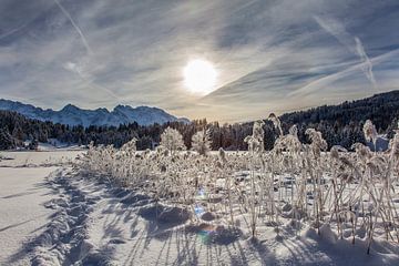 Winter Wonderland van Fabian Roessler