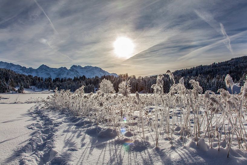 Winterwonderland von Fabian Roessler