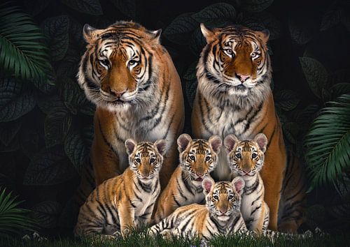 Tigerfamilie mit 4 Jungtieren