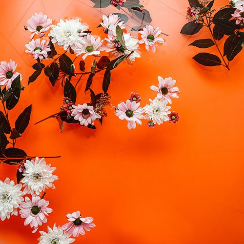 Oriental Evening Red