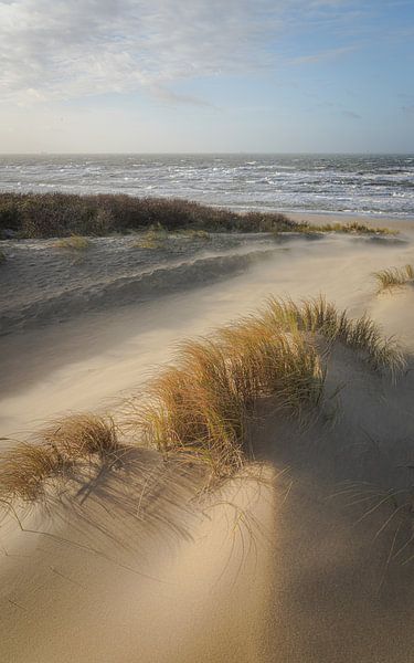 Dunes, beach and sea on the Dutch coast by Dirk van Egmond