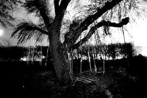 Unheimlicher Baum.