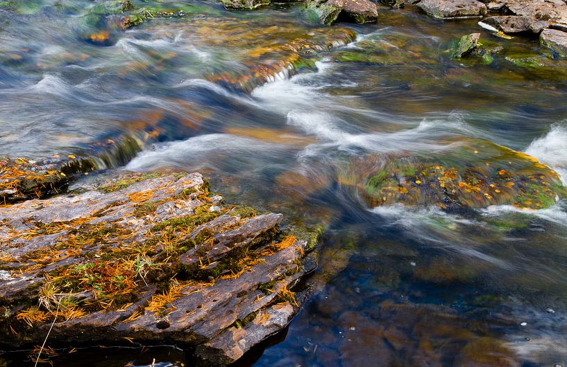 Feuilles d'automne dans une rivière au débit rapide par Johan Zwarthoed