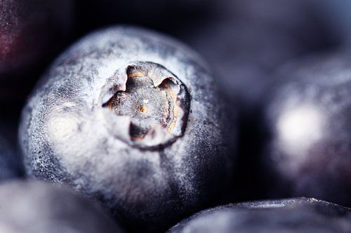 Close-up of a blueberry