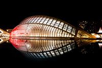 Der Fisch