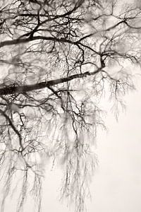 Winter Mood