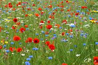 Wilde bloemen tuin van Ad Jekel thumbnail