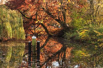 Herfst reflectie Vondelpark van Mariette Kapitein