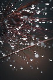 Light show by Pixel4ormer