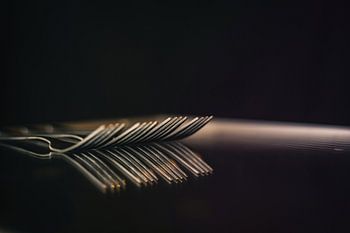 Zusammensetzung der Gabeln - Spiegeln