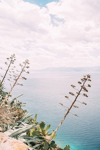 About the Mediterranean