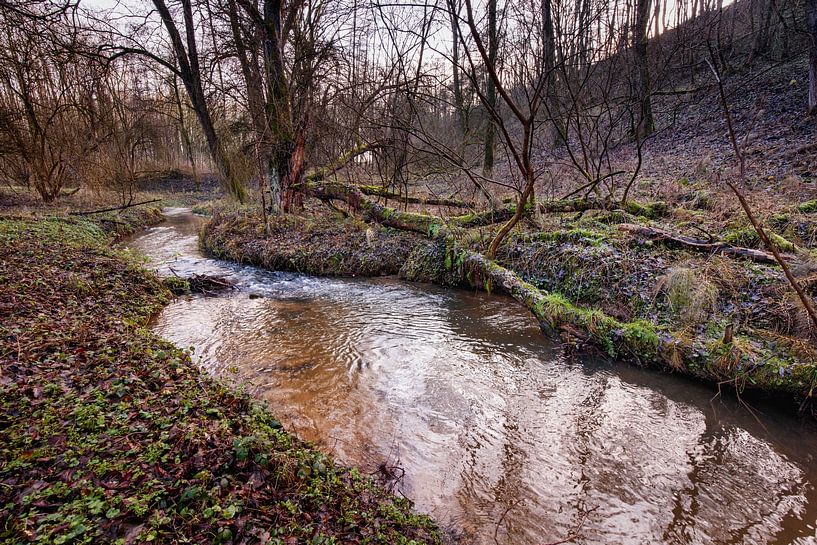 Eyserbeek in Roodborn van Rob Boon