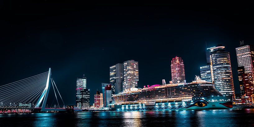 Rotterdam skyline - Cruise schip en de Erasmusbrug van Larissa Snoek