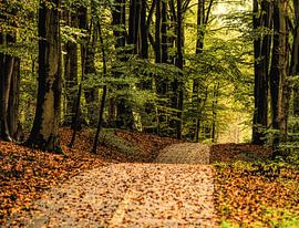 Herfst herfst wat heb je te koop by Evelien Scholten