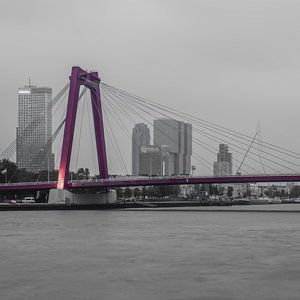 Rotterdam Willemsbrug (67155)
