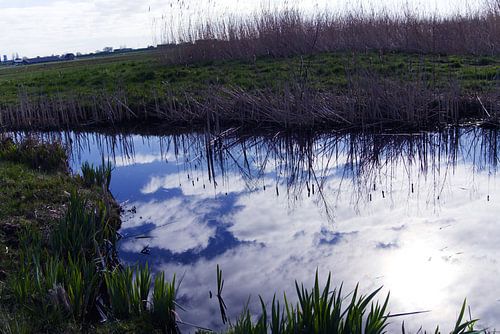 Wasser mit Schilf und Wolken