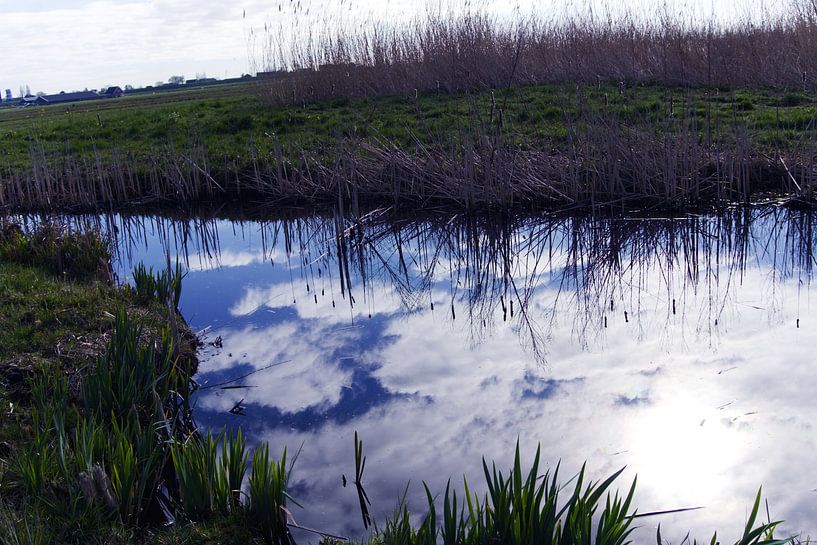 water with reed and clouds by joyce kool