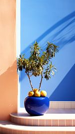 Summer Serenity by ByNoukk