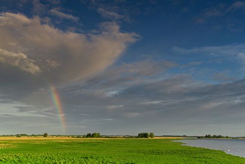 Holländische Himmel - Regenbogen auf einem frischen grünen Landschaft