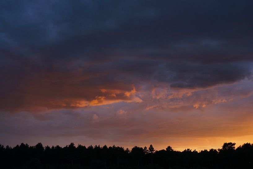 Lila Himmel von Herman Peters